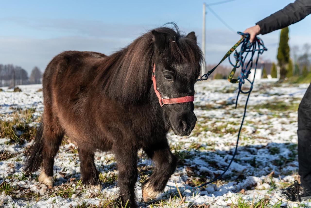 Orzechowa Ostoja Noclegi Energylandia Bachowice Luaran gambar