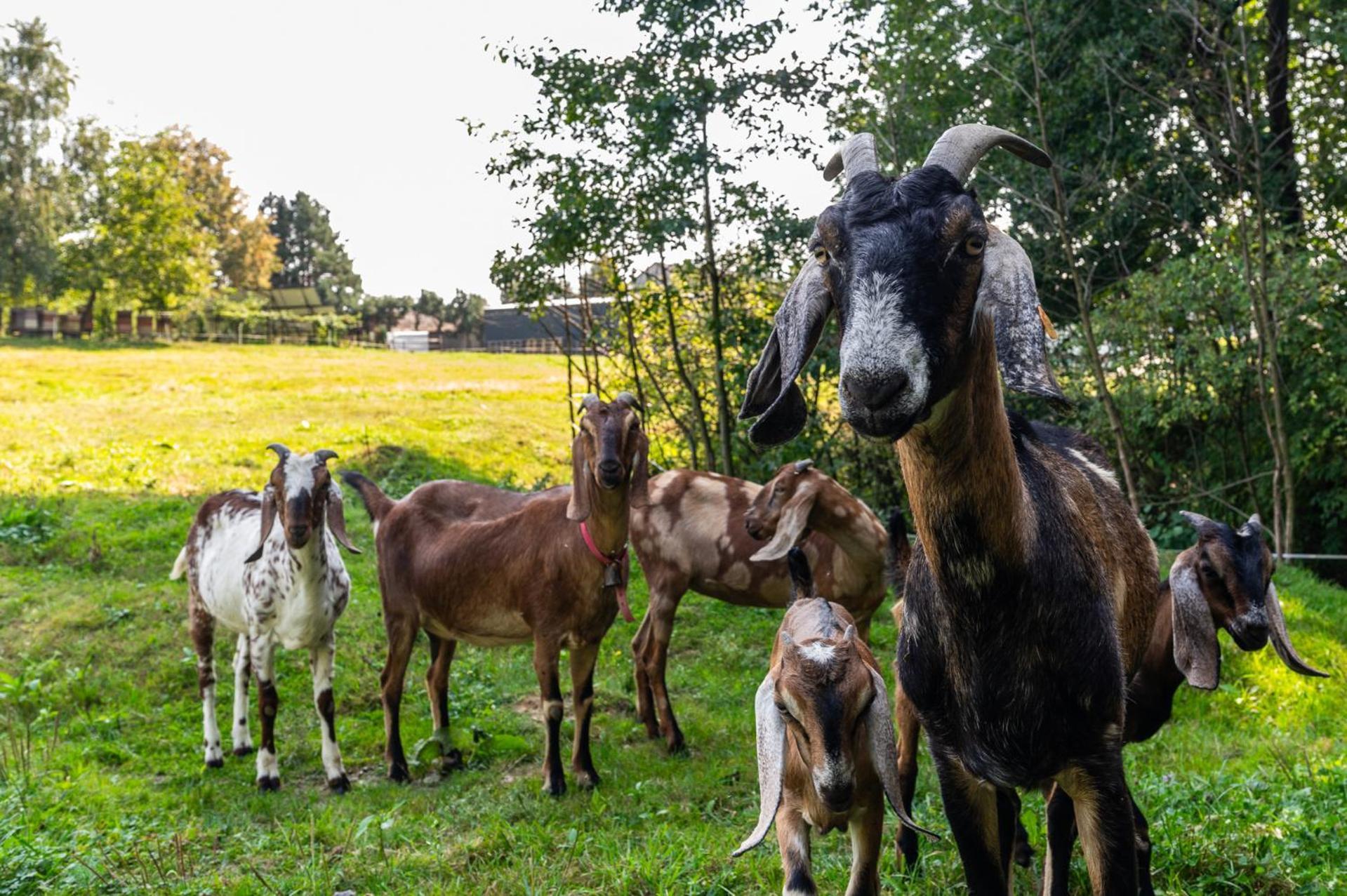 Orzechowa Ostoja Noclegi Energylandia Bachowice Luaran gambar